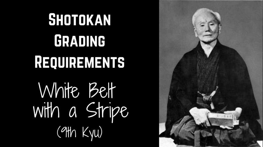 Shotokan Karate Grading Syllabus: White Belt with a Stripe (9th Kyu)