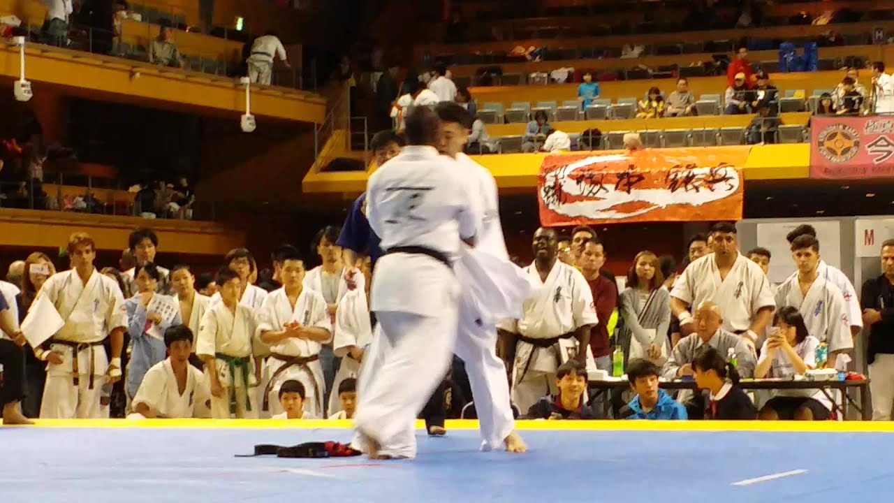 kyokushin karate 第46全日本大會 총극진 46th ALL JAPAN OPEN TOURNAMENT Kyokushin