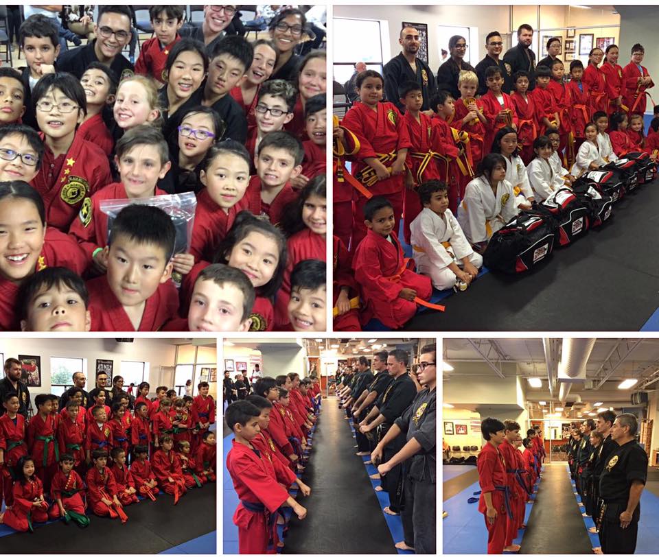 The Buzz | Northern Karate Schools