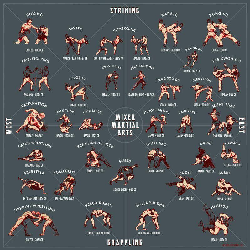 Pin by Andrew Scordato on martial arts | Martial arts styles, Martial