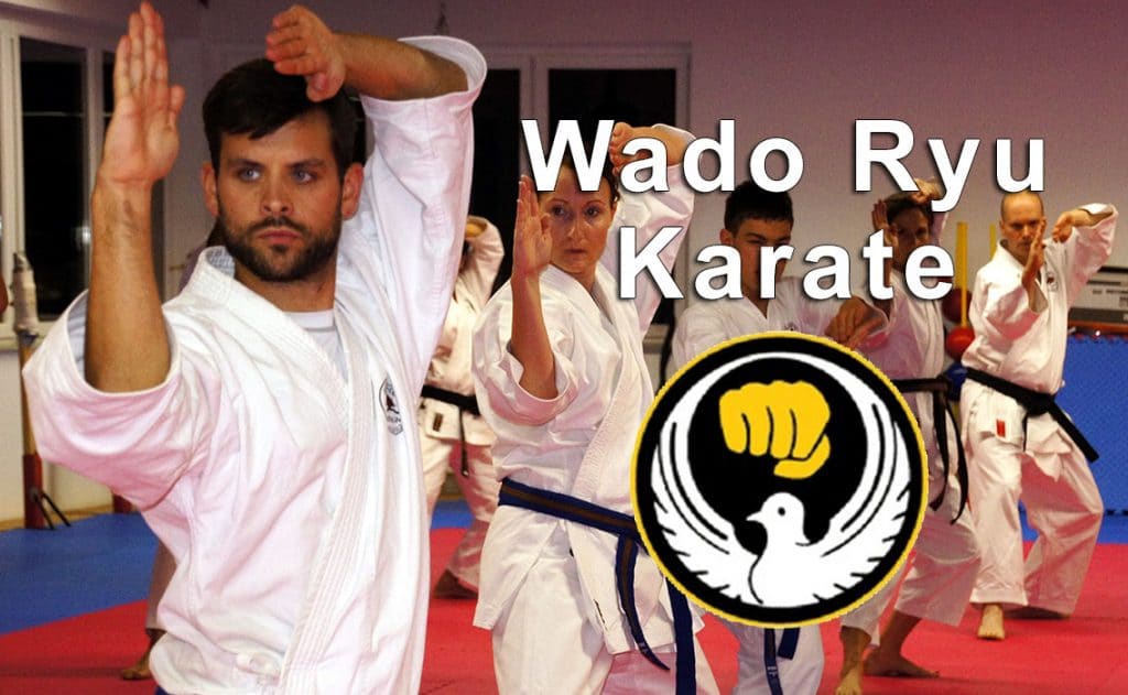 Karate wado ryu: katas, técnicas y todo lo que desconoce