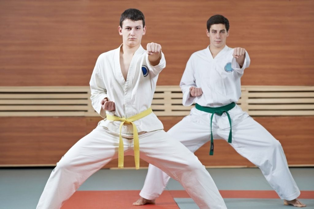 Karate vs. Taekwondo: What Is The Difference? - Sweet Science of Fighting