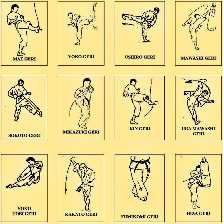 karate kick names for japnes and block name and stance name - Anil Karate