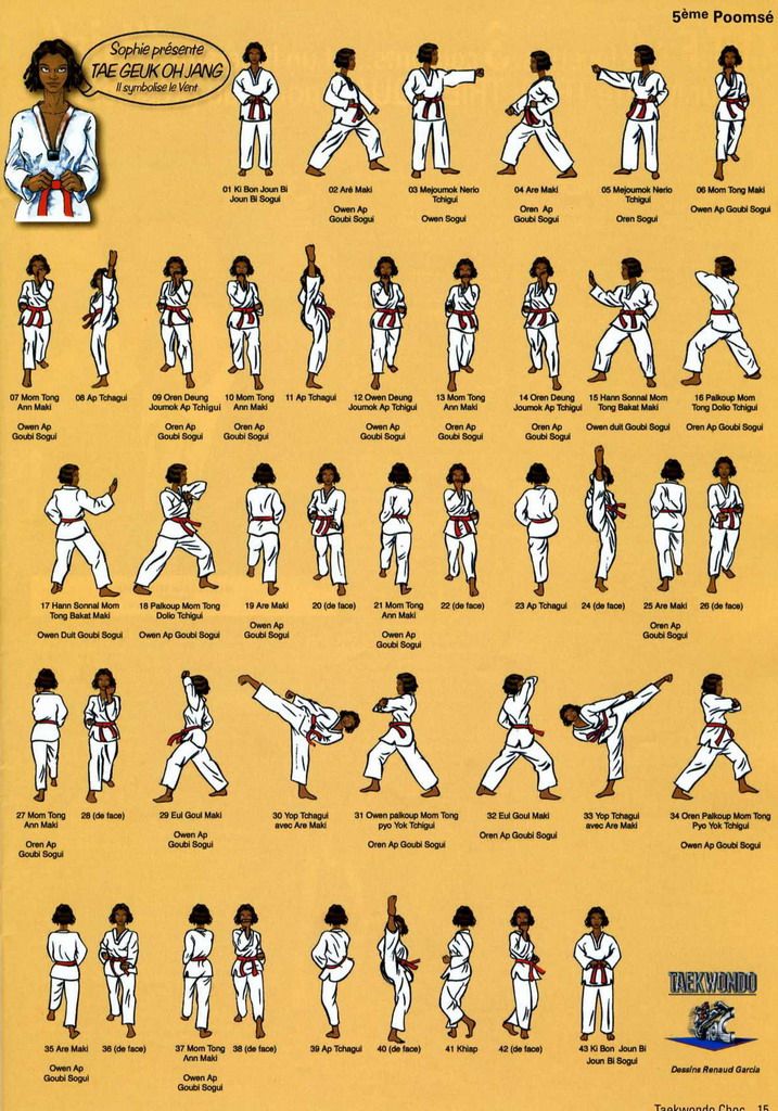 Taekwondo Kicks List