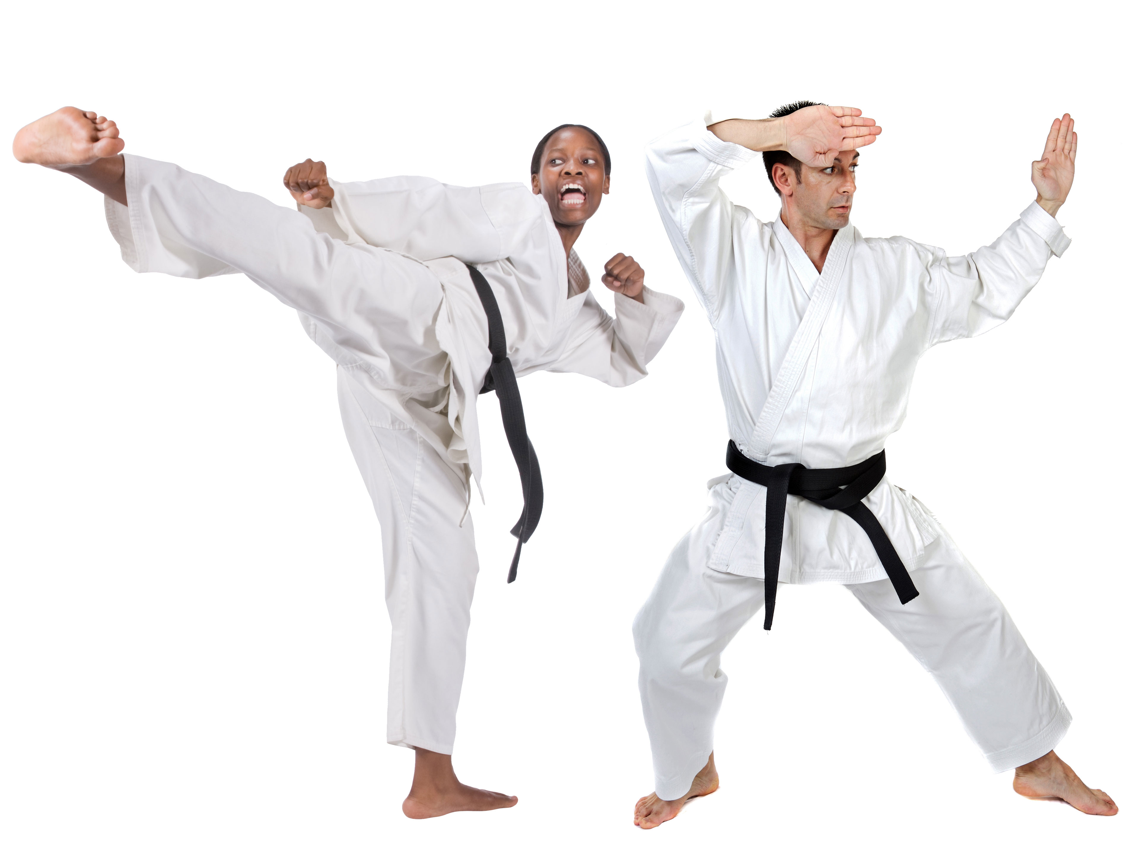 Martial Arts - Champion Sport Karate 1