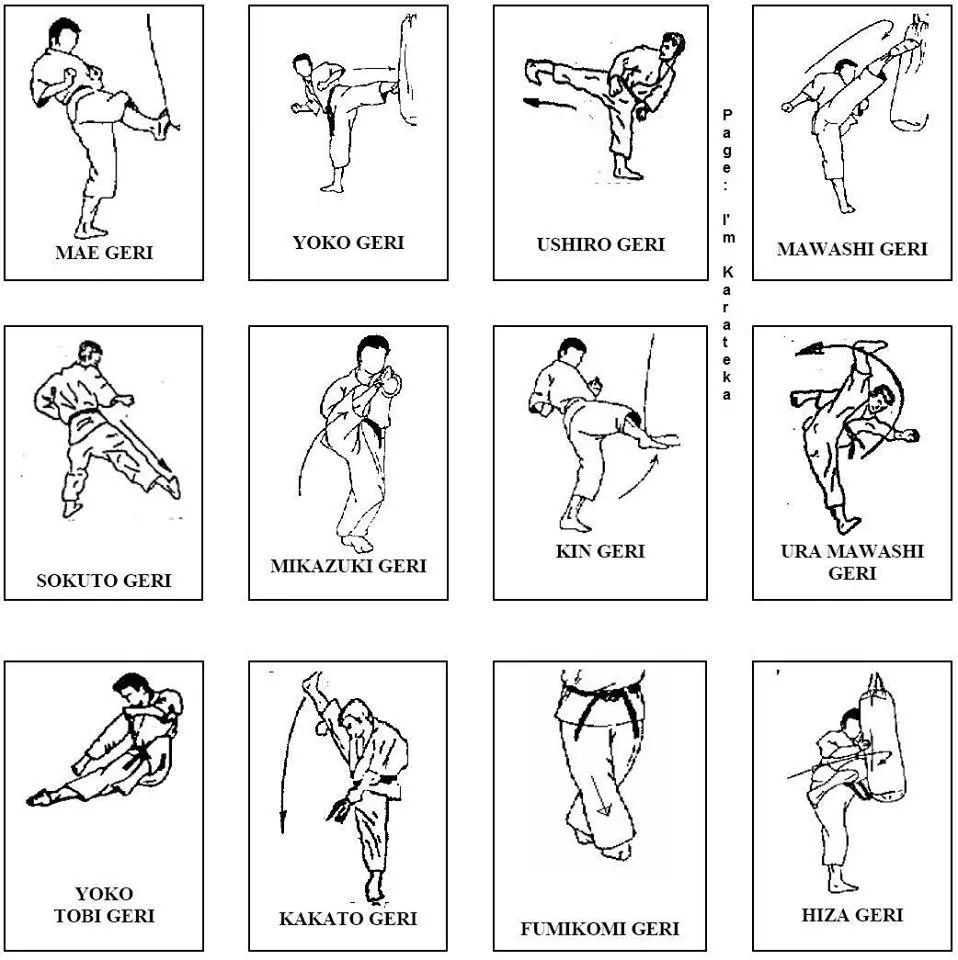 Pin by James Hudson on Kyokushin | Shotokan karate, Kyokushin karate