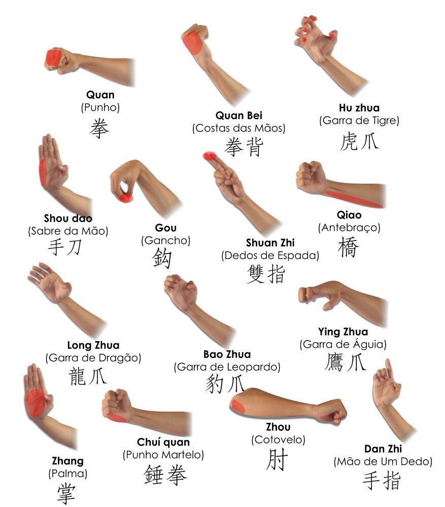 Wushu mãos #kungfu | Martial arts styles, Kung fu martial arts, Chinese