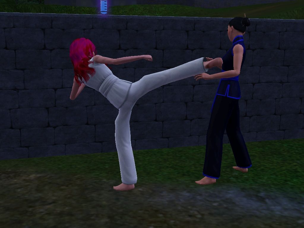 My sim learning Karate :) | Sims, Sims 1, Sims 4