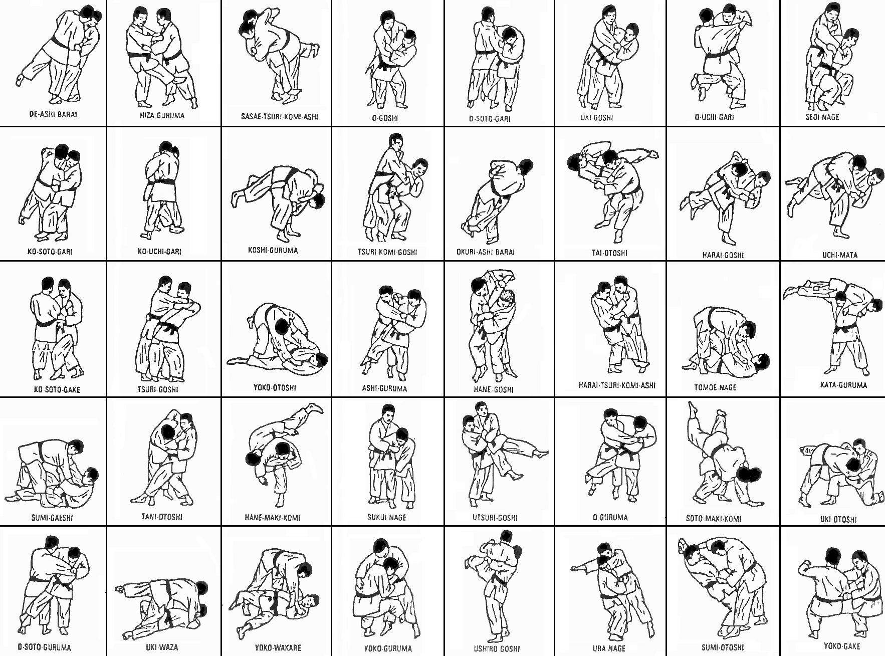 Judo Techniques | arts | Pinterest | Karaté, Martial et Survie