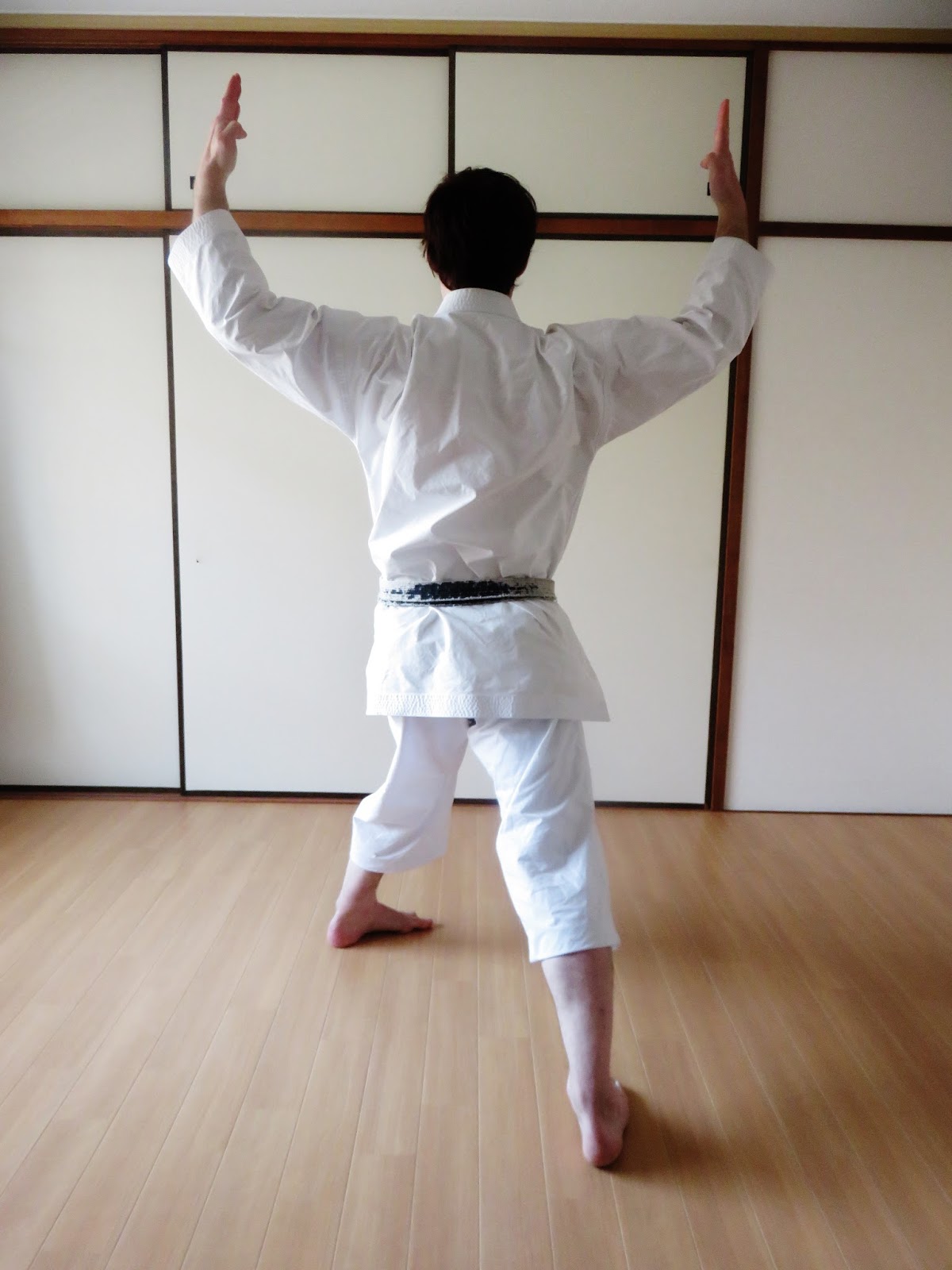 André Bertel's Karate-Do: HANGETSU KATA