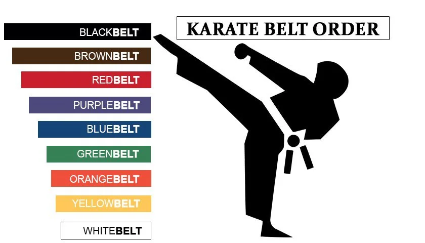 Kyokushin Karate Embroidered Belts Shinkyokushin - Buy Professional