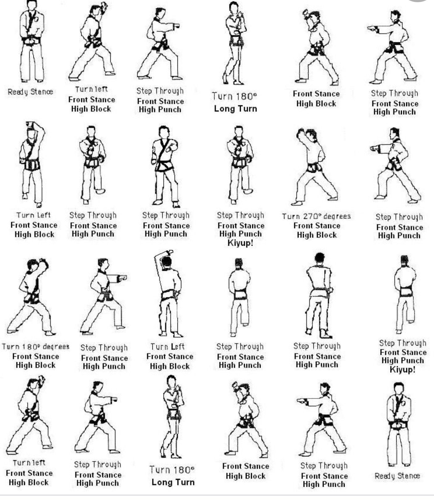 Best Of basic karate techniques