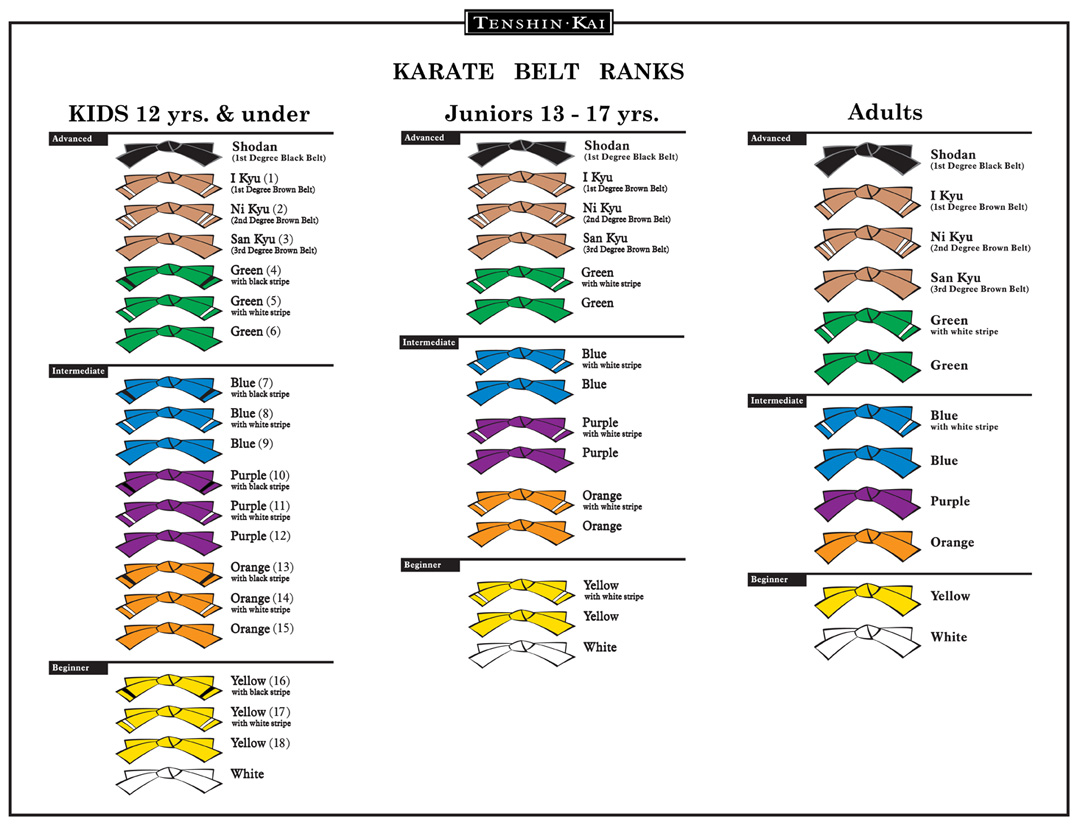 BELT RANKING SYSTEM | Tenshin-Kai Tai Chi & Karate