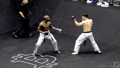 Fight Mma GIF by Karate Combat - Find & Share on GIPHY