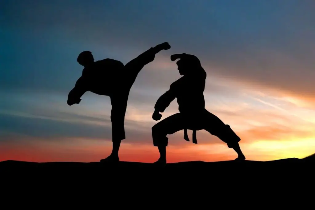 What’s the Difference Between Karate and Kung-fu? – AllDifferences