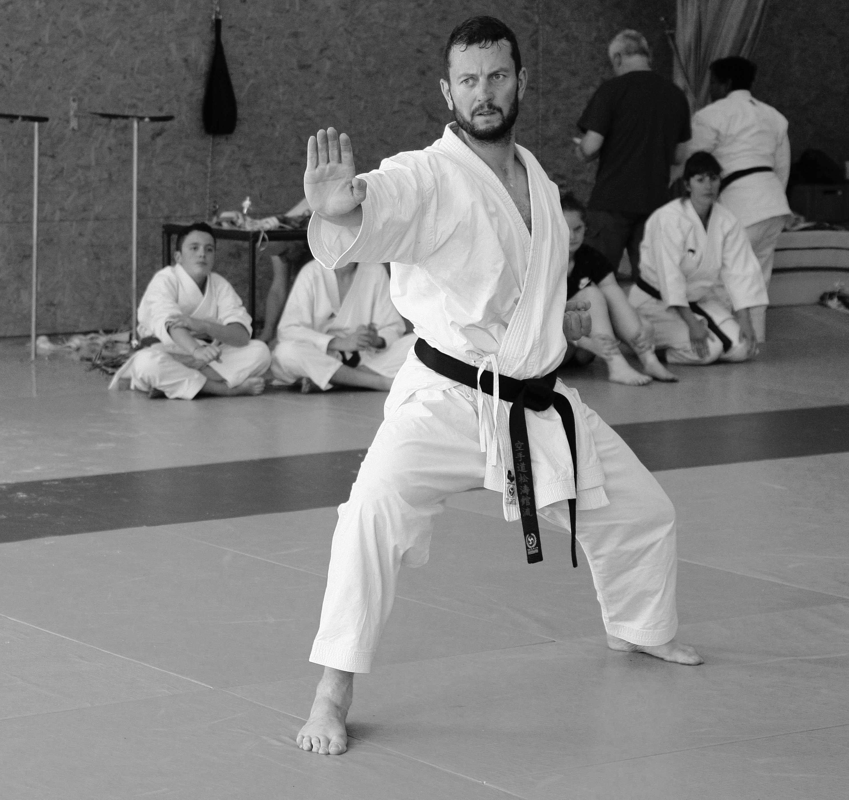 Karate Kata 1 : Learn or research your karate kata here.