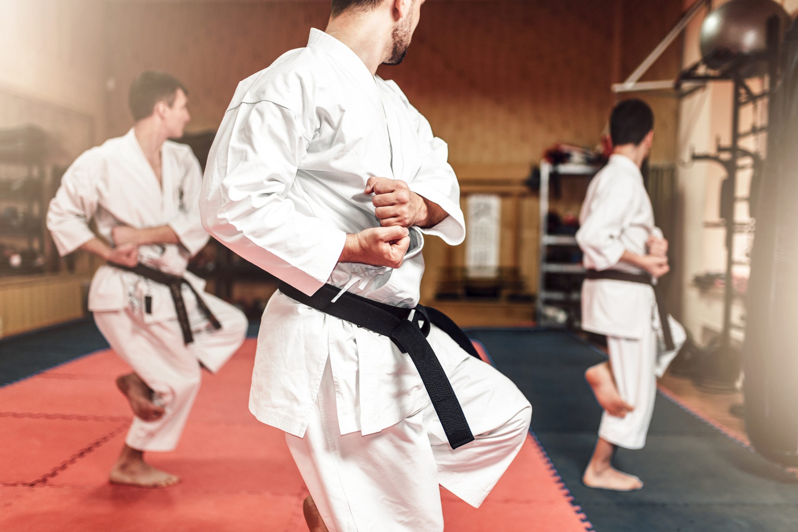 Best Online Karate Classes & Lessons 2022