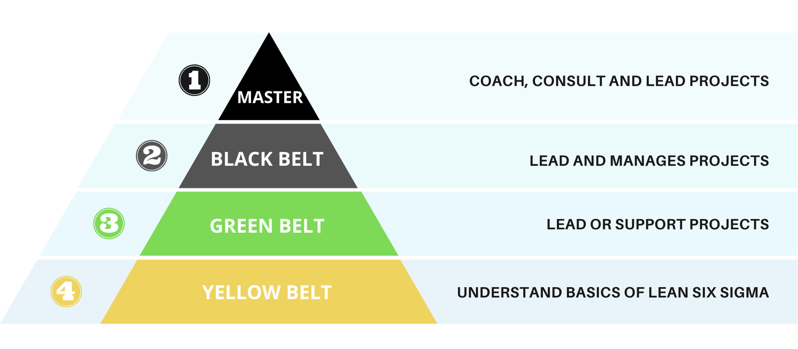 Lean Six Sigma Yellow Belt - 6 Questions To Ask Always