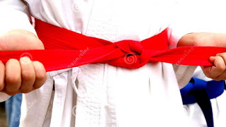 Red belt (martial arts)