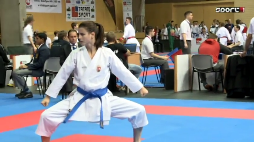 Open Shito-Ryu Karate World Cup - VIDEOS - International Hayashi-ha