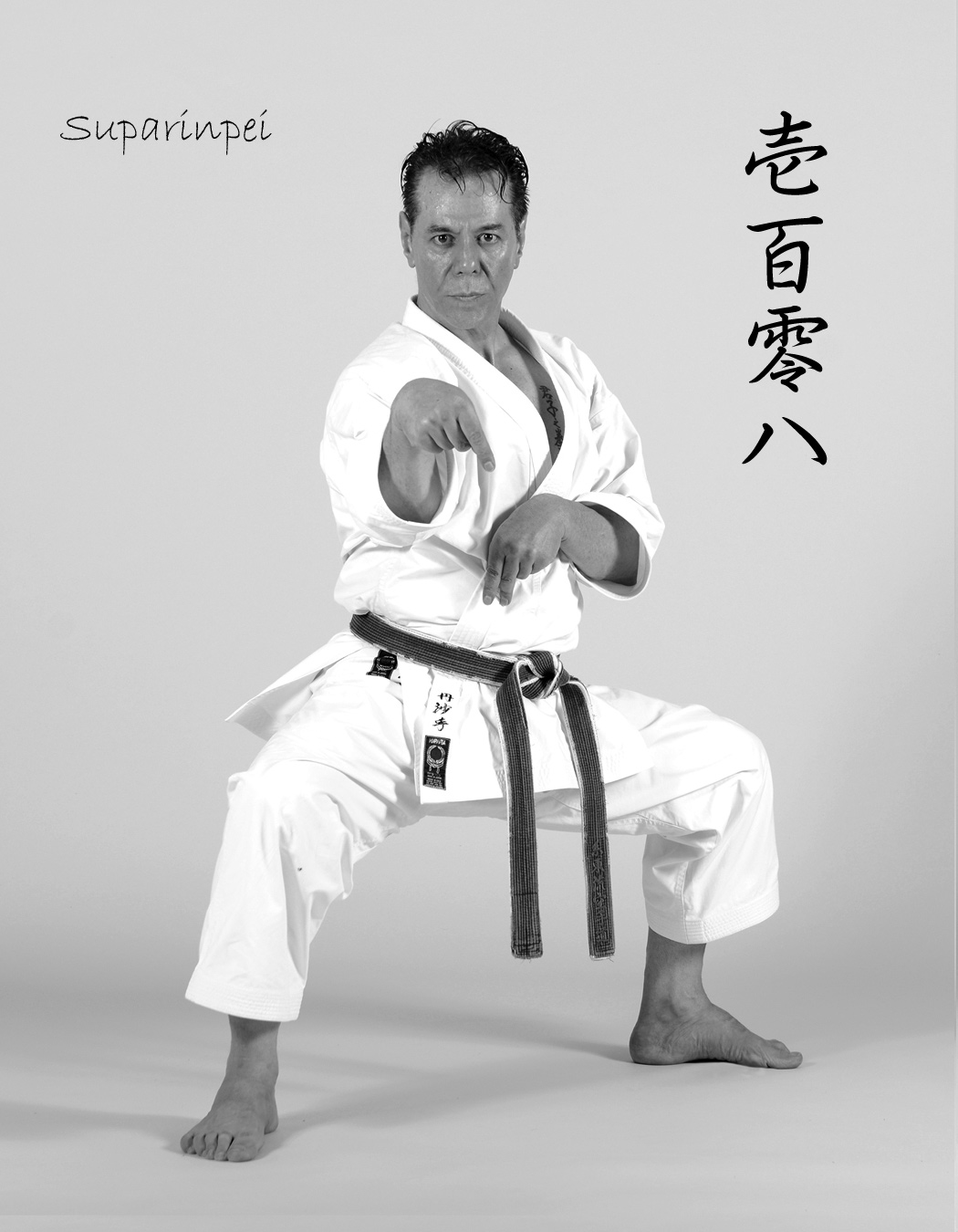 Suparinpei (壱百零八) Kata – A.Tanzadeh, 8th Dan, Kyoshi of World Shitoryu