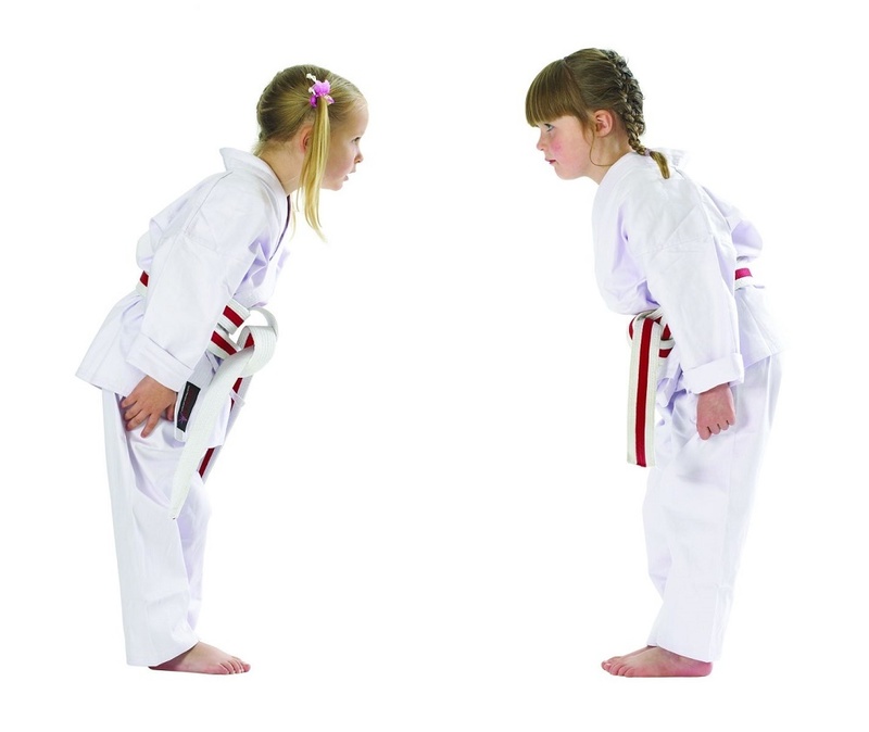 33 Differences between styles of Karate Shotokan Vs Kyokushin kai - How