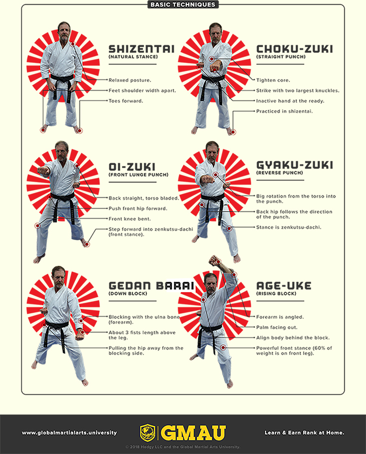 The Complete Beginner’s Guide to Shotokan Karate – Global Martial Arts