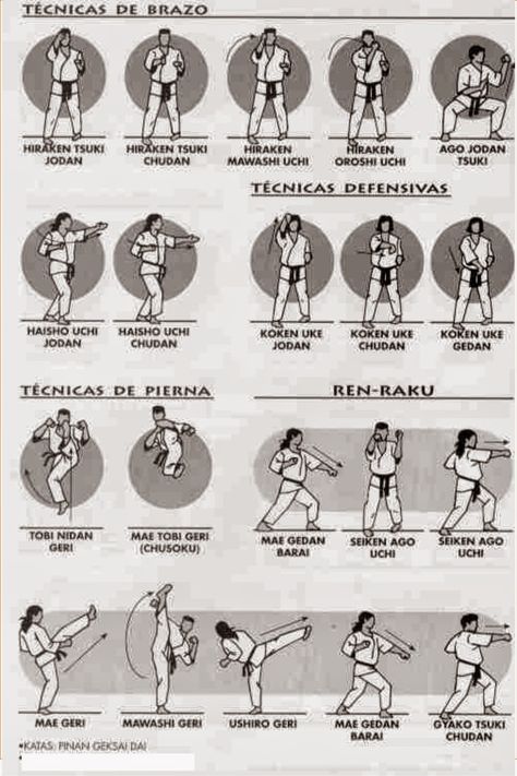 Pin by Kyokushin Puerto Rico on Kyokushin Techniques | Kyokushin karate