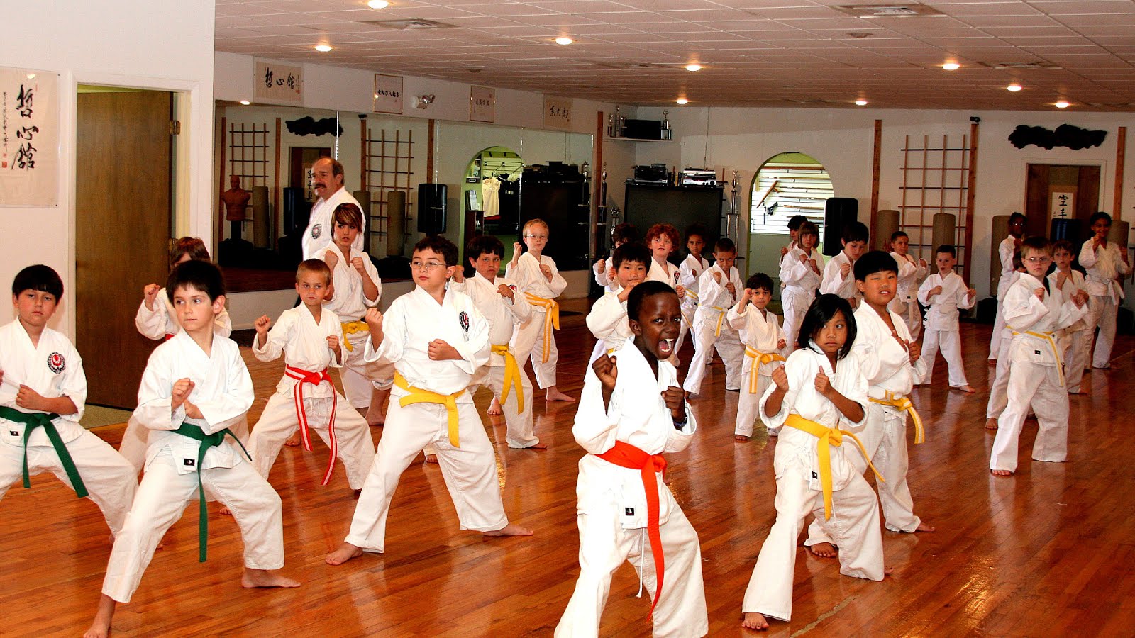 Karate Lessons For Beginners - Karate Choices