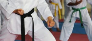 Taekwondo Belt Levels: A Complete List (Ranks, Colors, …) - Sportsver