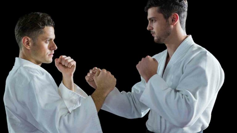 Shorin Ryu Karate (History, Belt Order, Katas, Techinques) - The Karate