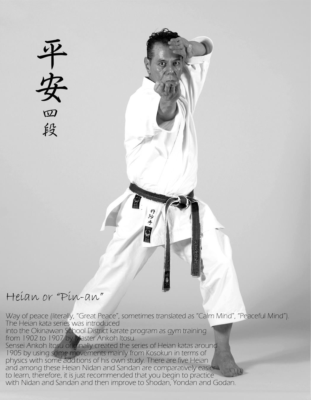 Pin by Dave Wolfe on Shito-ryu karate | Karate martial arts, Shotokan