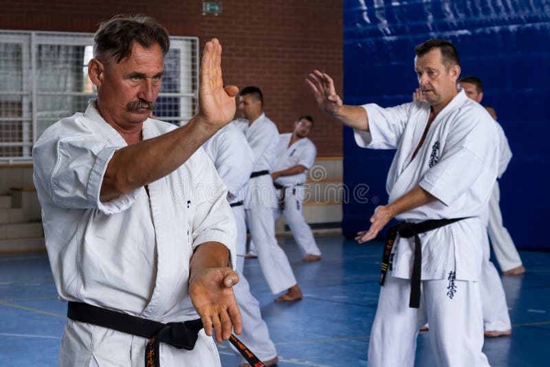 International Summer Kyokushinkai Karate Training Camp In Hungary