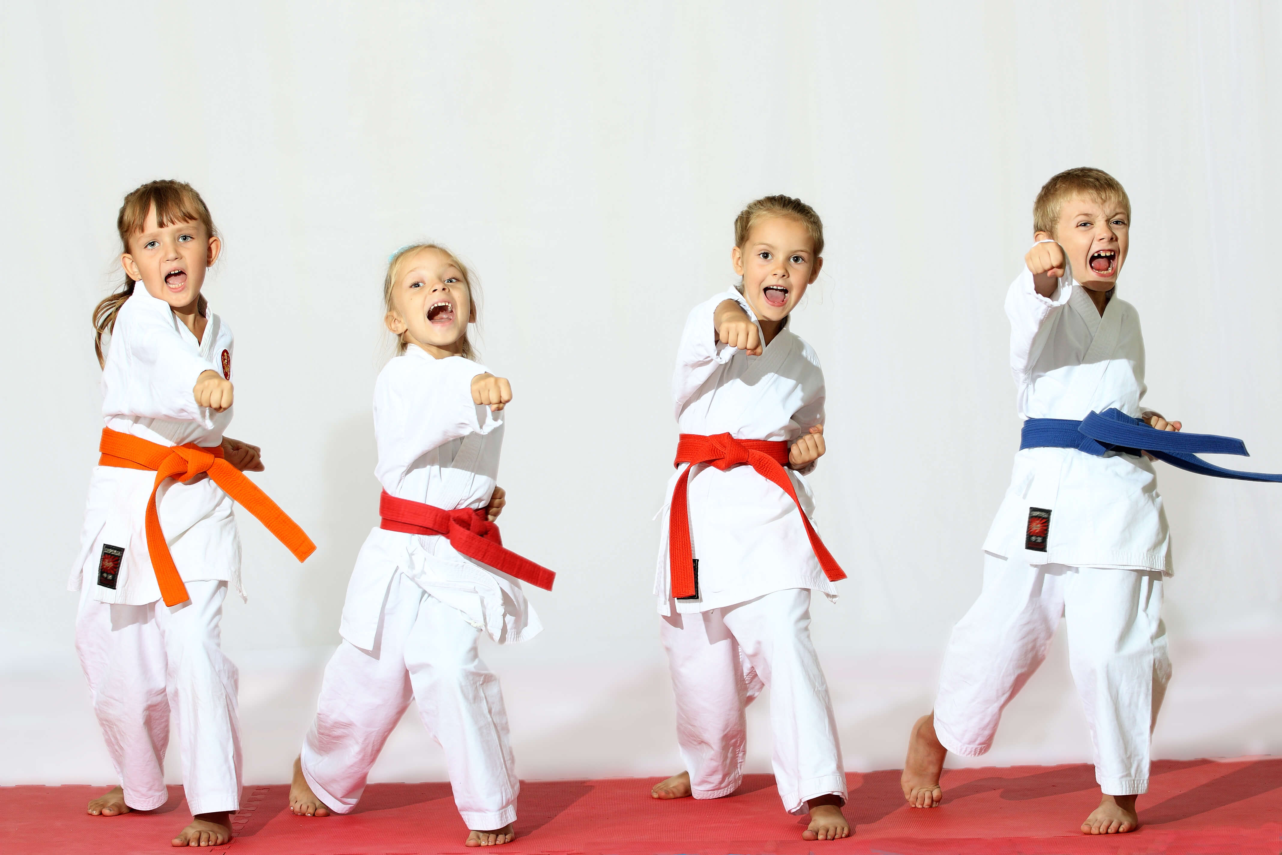 Why Martial Arts? - Protectivity