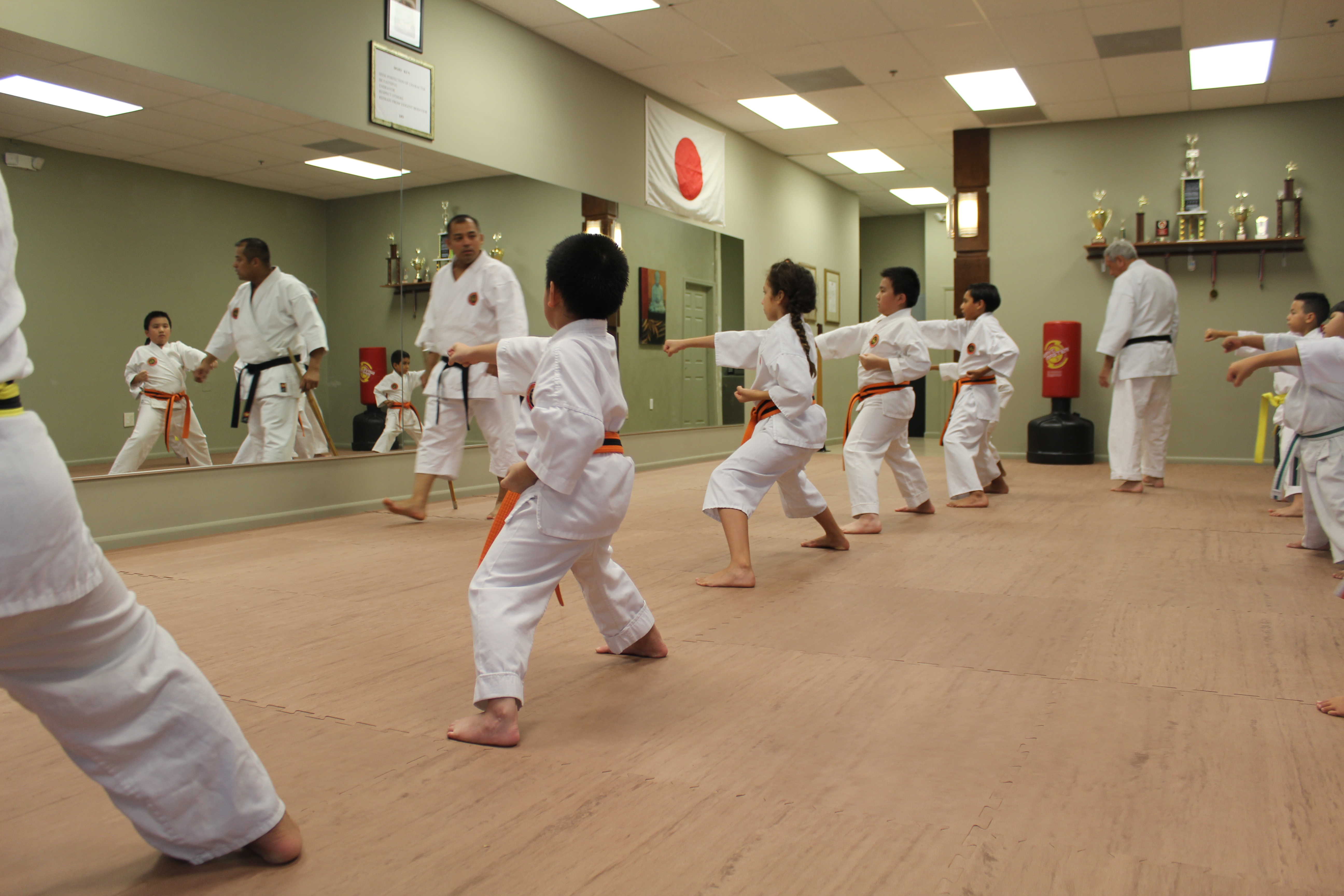 Photo Gallery - Shotokan Karate-Do Academy