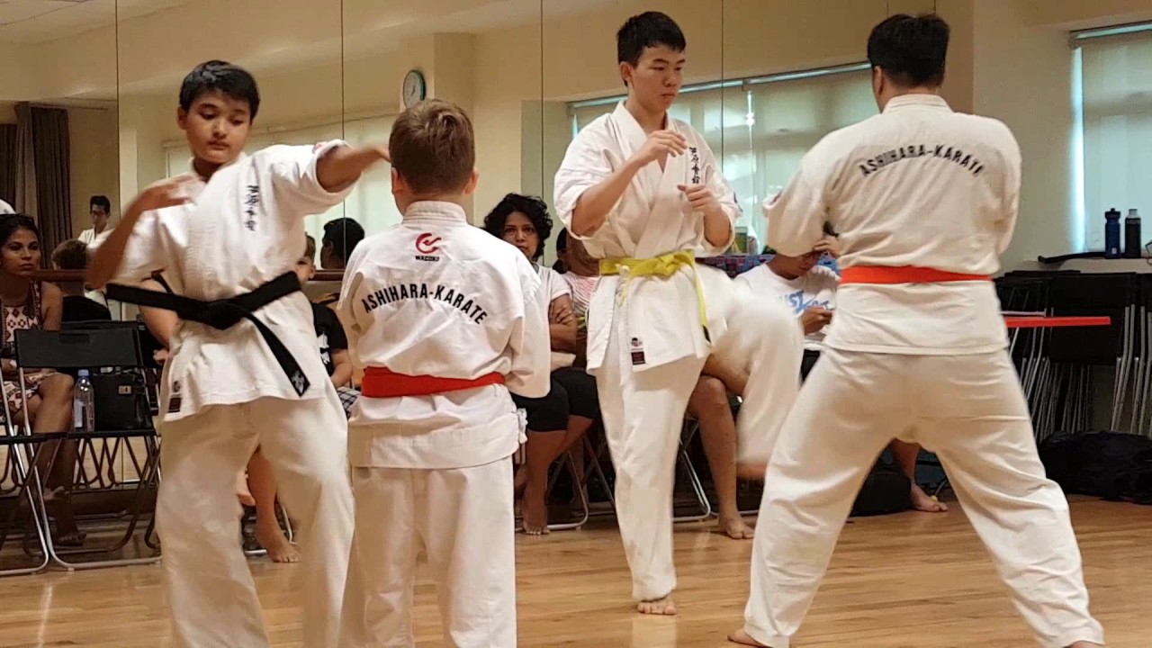 Ashihara Karate: 2017 Grading 2 Highlights - YouTube