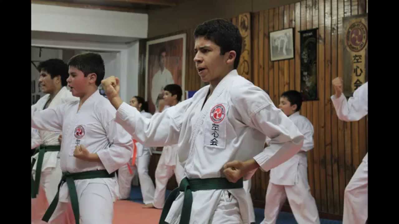 Okinawa Shorin-Ryu Karate-Do Kushinkai Chile - YouTube