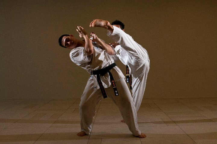 What is the Ashihara Karate System?