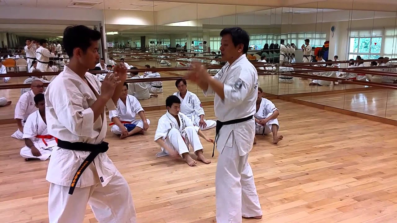 Ashihara Karate: Stopping and Entering - YouTube