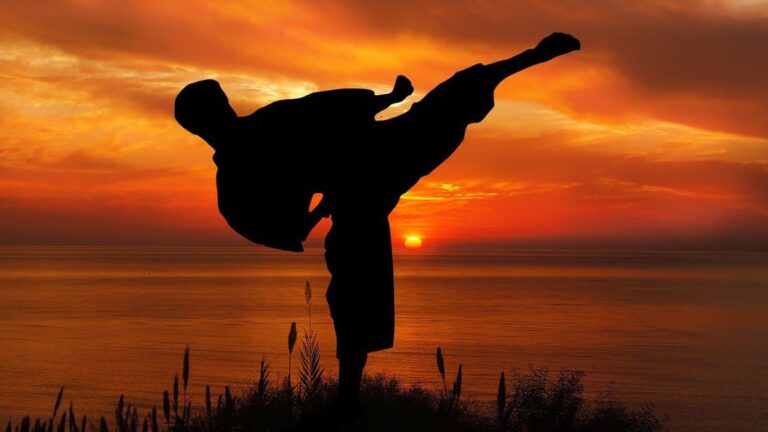 Difference Between Kyokushin Karate And Shotokan Karate