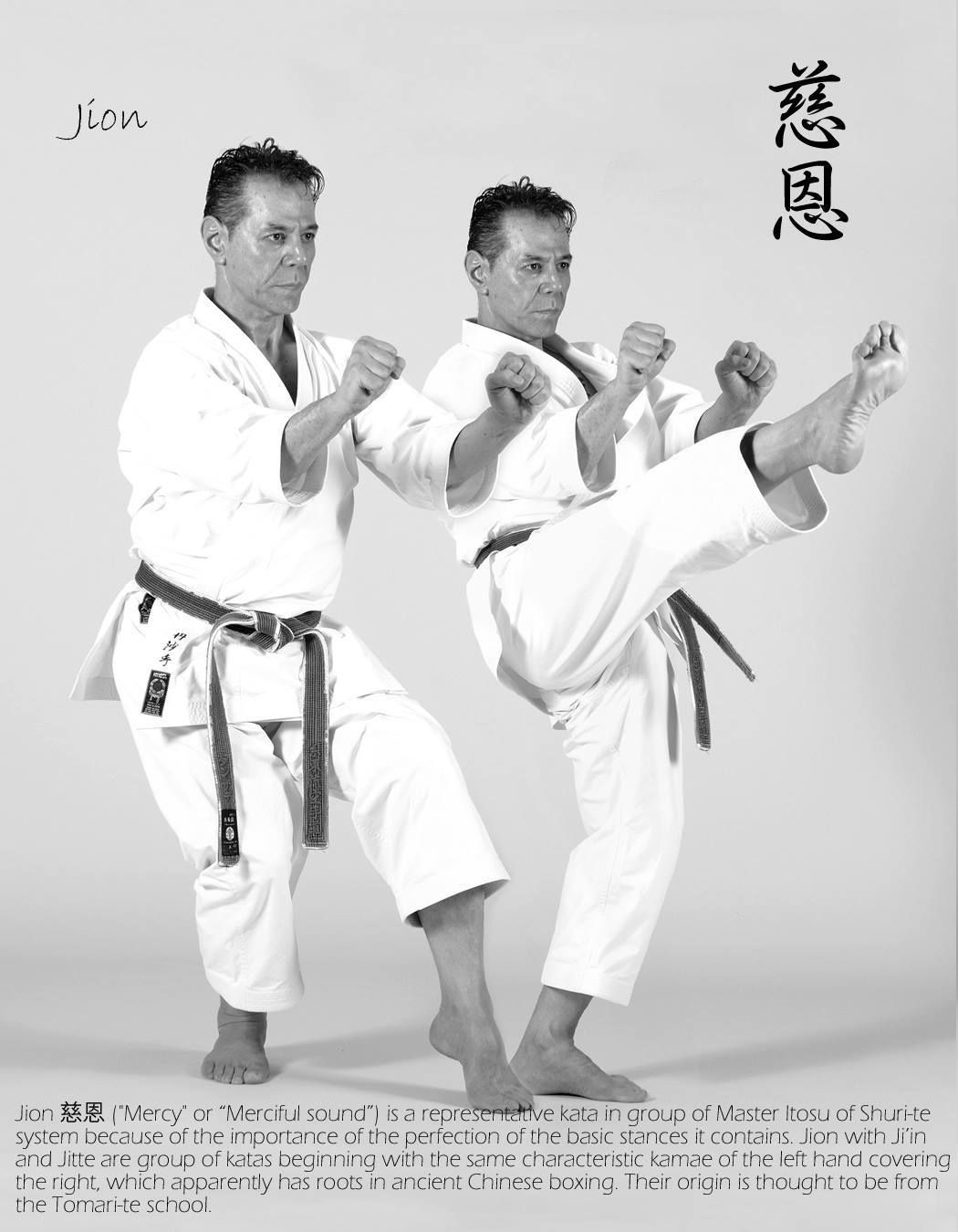 Pin by Dave Wolfe on Shito-ryu karate | Karate martial arts, Karate