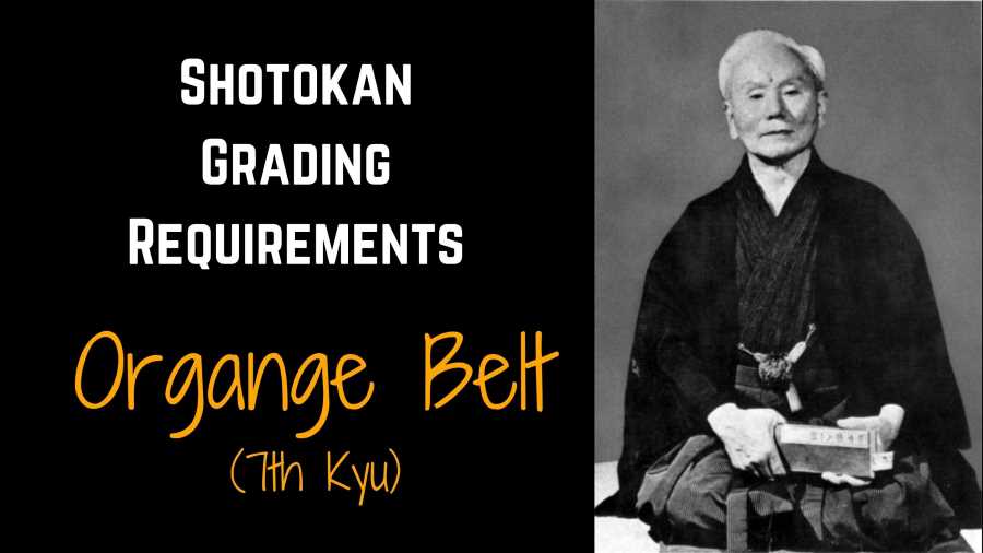 Shotokan Karate Grading Syllabus: Orange Belt (7th Kyu)