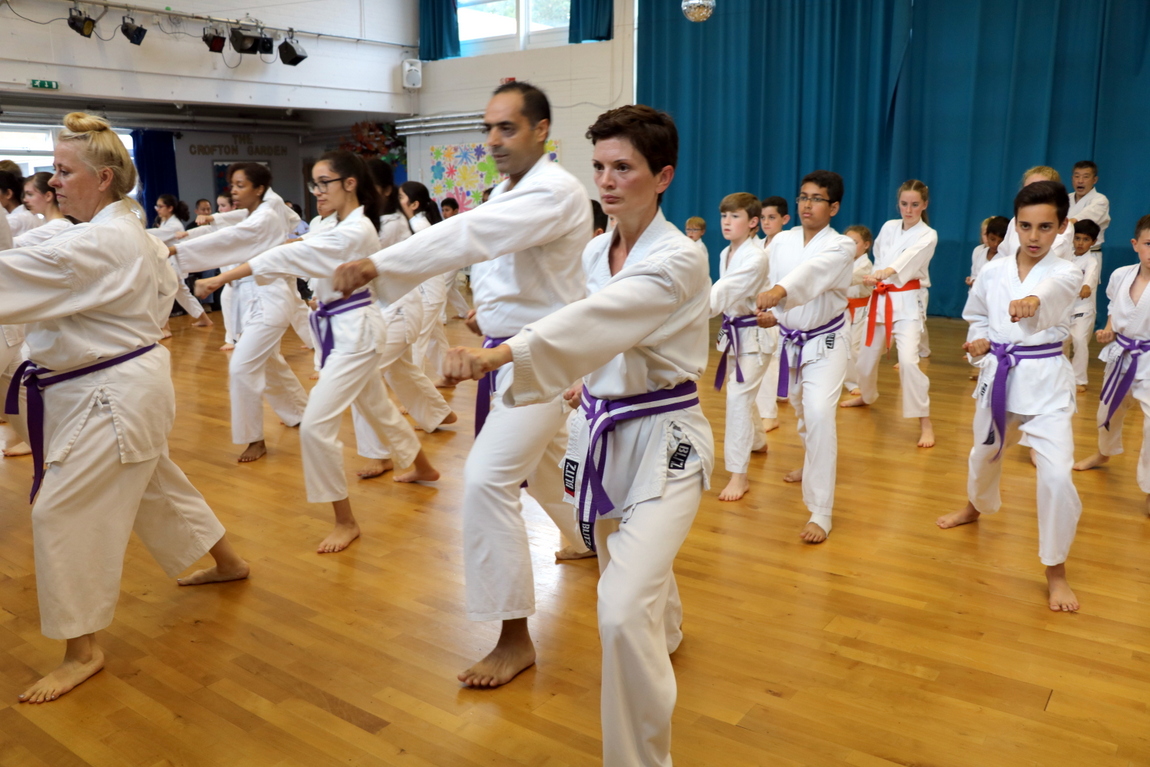 Bromley & South East London JKA Karate Club Summer Grading at Petts