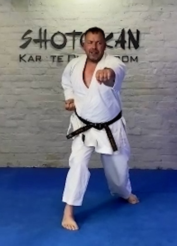 Karate Lessons Online 23 Minute Follow Along Class Punch Snap Back
