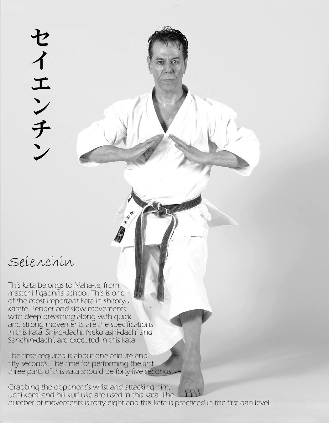 Pin by Dave Wolfe on Shito-ryu karate | Karate martial arts, Okinawan