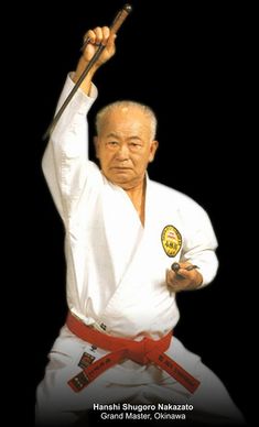 15 Shorin-ryu Shorinkan Karate-do ideas | karate, okinawan karate, ryu