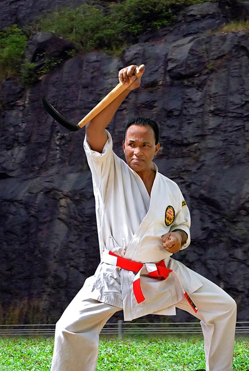 Shorin Ryu Shorin Kan India, The home of traditional Martial Arts is