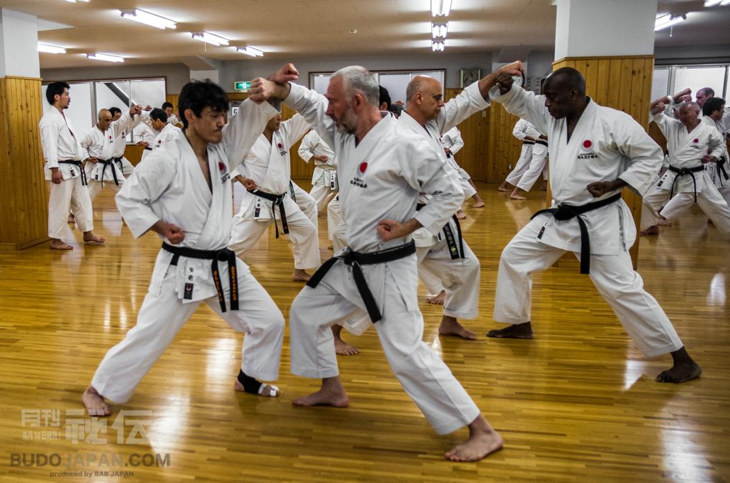 Shotokan Karate: It was 30 years ago today | BUDO JAPAN