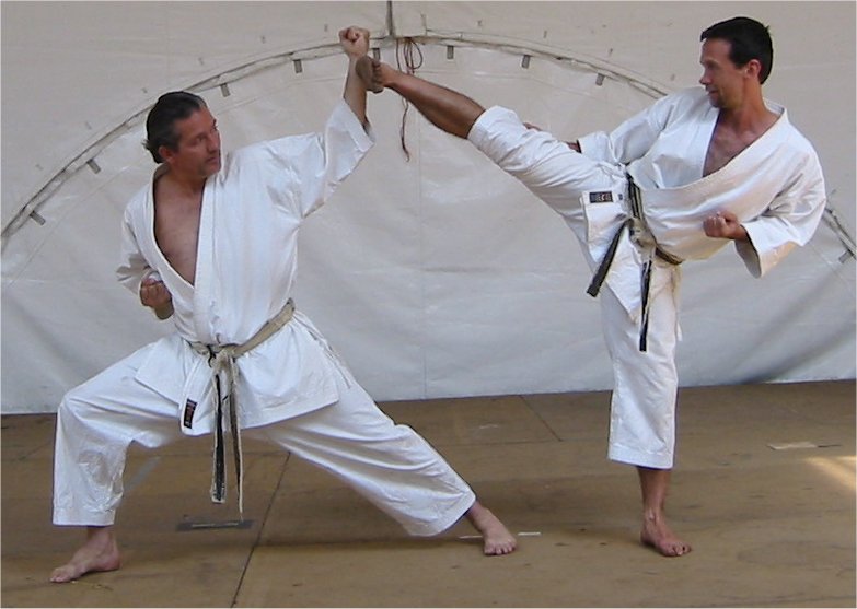 Karate Shotokan - Punto Fape
