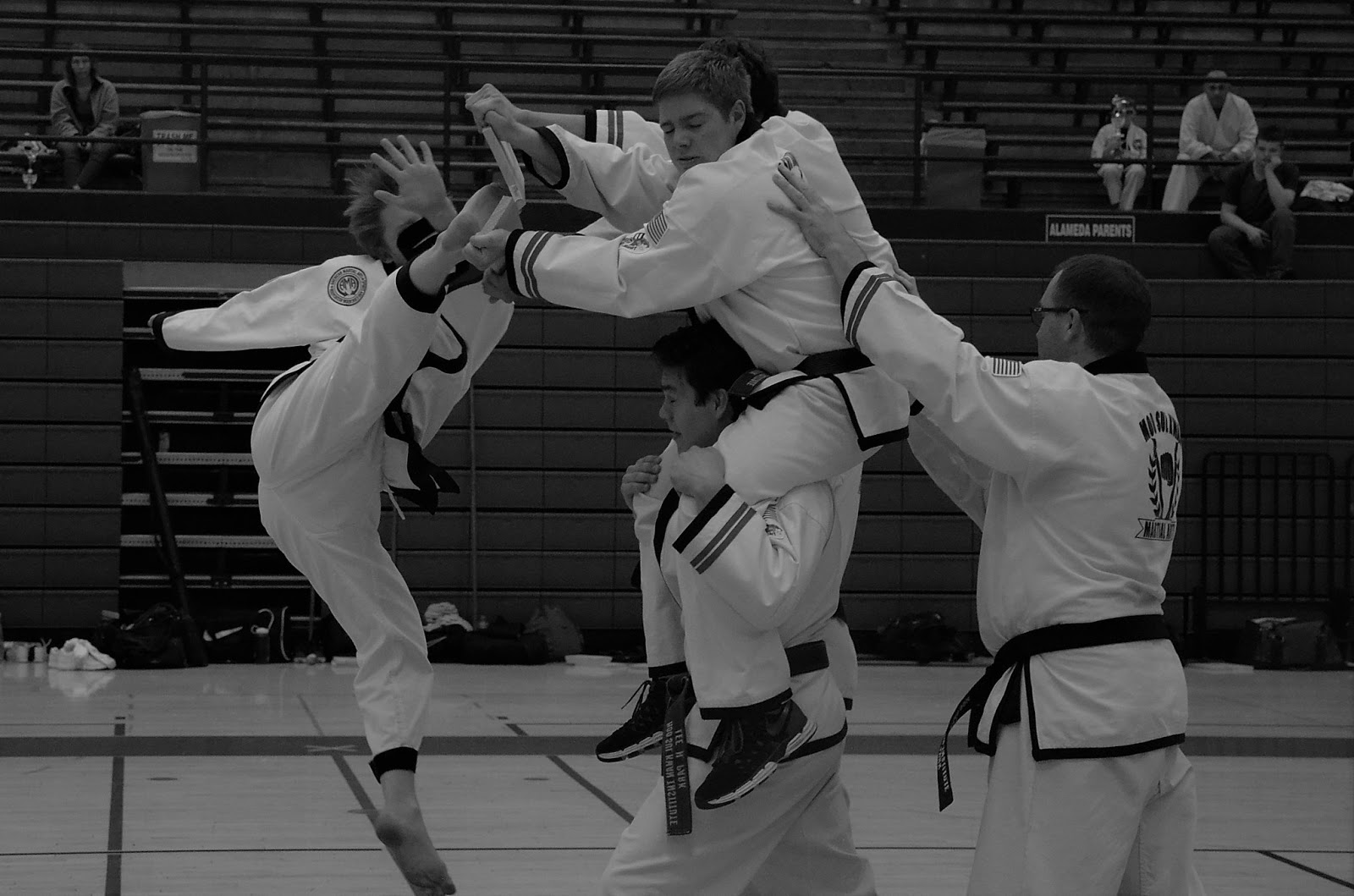 CTI Model Concept: Taekwondo and Karate Lessons at the CTI